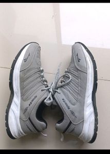 Asian Sports Shoes