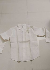 White Embellished Long Sleeve Shirt With Zari Work