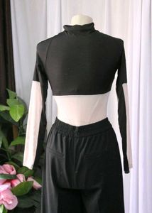 Sheer Panel Crop Top