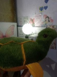 Turtle Plush Toy