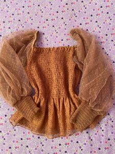 Sheer Sleeve Top