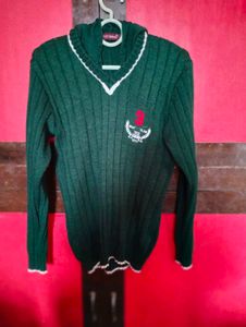 Green Colour Sports Sweater