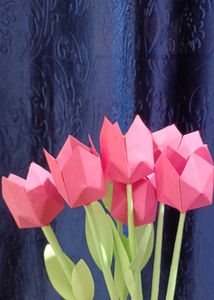 Tulip 🌷