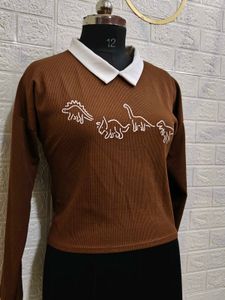 Dino-mite Brown Collared Long Sleeve Top