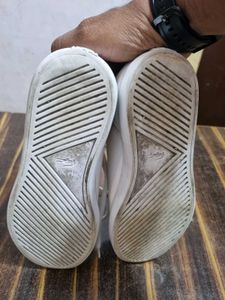 locoste shoesImported n original pairs