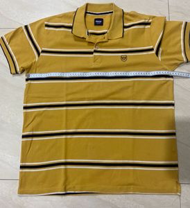 Max Slim fit Stripped Yellow T-shirt💛