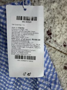 Blue Gingham Mini Dress