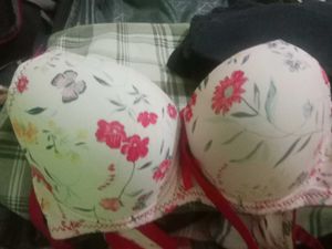 Double Padded Pushup Bra