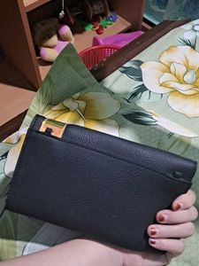 Baggie Branded New Clutch Wallet