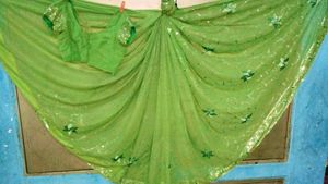 Green Sequin Saree with Blouse