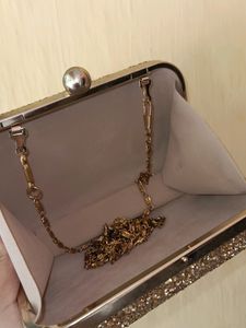 Gorgeous Metallic Clutch