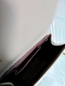 Exotic&#39; Silver Handbag
