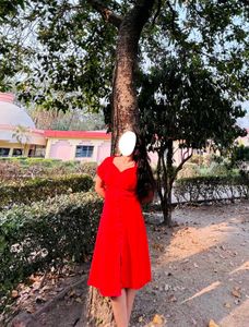 THE RED DRESS