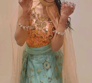 Embroidered Lehenga Choli Set