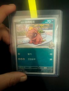 Pokemon card  Chinese master ball