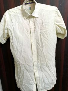 Preimum Shirt