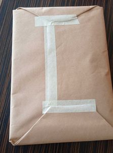 Just A Paper Bag With Surprise Inside