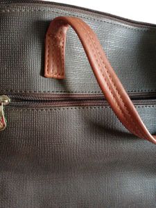 Baggit Handbag