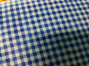Blue &amp; White Checked Fabric 1 MTR 99 Rs