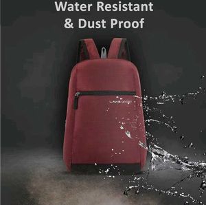 Lavie&#39;s New Burgundy Bag