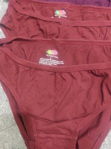 Fruit of the Loom Panties (5)