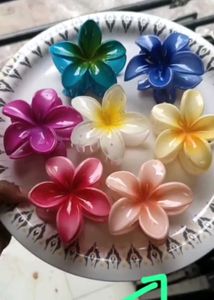 Flower Hair Claw Clips any random 5