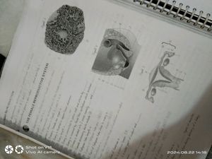Biohack By Parth Goyal