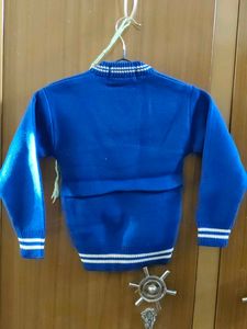 Blue School Sweater