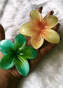 Tropical Flower Hair Clips