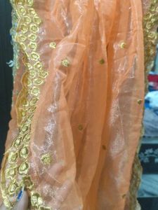 Elegant Peach Organza Duppta