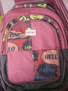 Beautiful Backpack For School And College