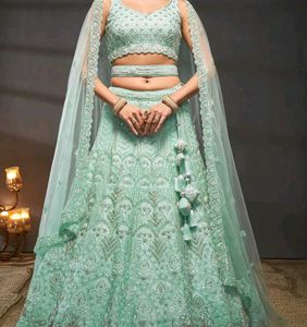 Mint Green Embellished Lehenga Choli