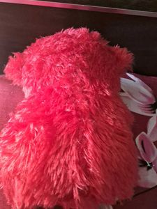 Teddy  Bear