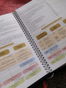 Class 12 Cbse Economics Textbook