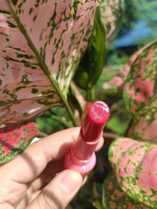 Lotus ColorKick Lip Sugar