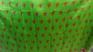 Butterfly Saree