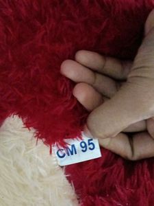 Red Teddy Bear