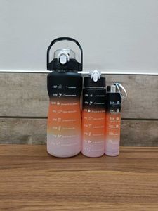 Motivational Water Bottles - Set of 3