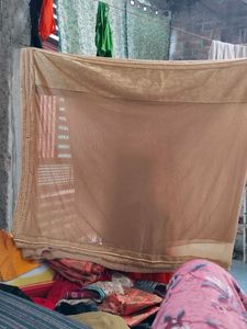 Golden  Saree
