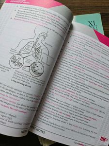 11th NEET-UG Biology Notes