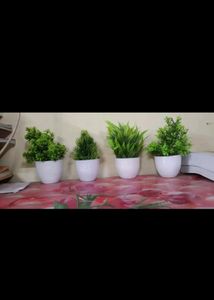 Artificial Plants Combo Of 10