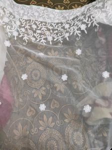 light green net chikan saree