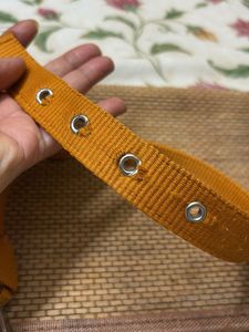 Dog Collar