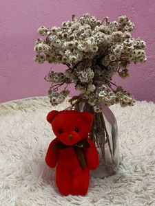 Cute Teddy Bag Charm