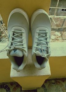 Adidas Shoe