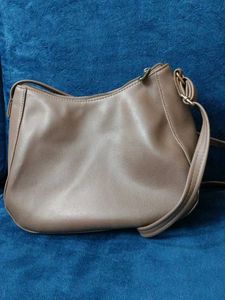 Baggit Bag