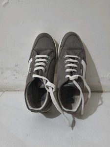 Vans Casual Shoes