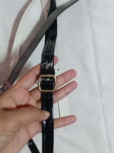 3 Belts