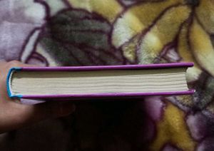 Diary Of A Wimpy Kid: The Melt Down