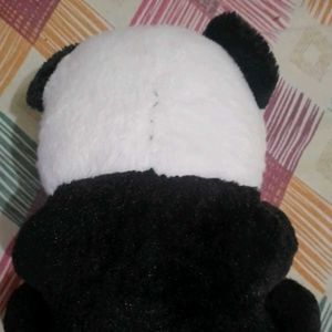A Teddy Bear